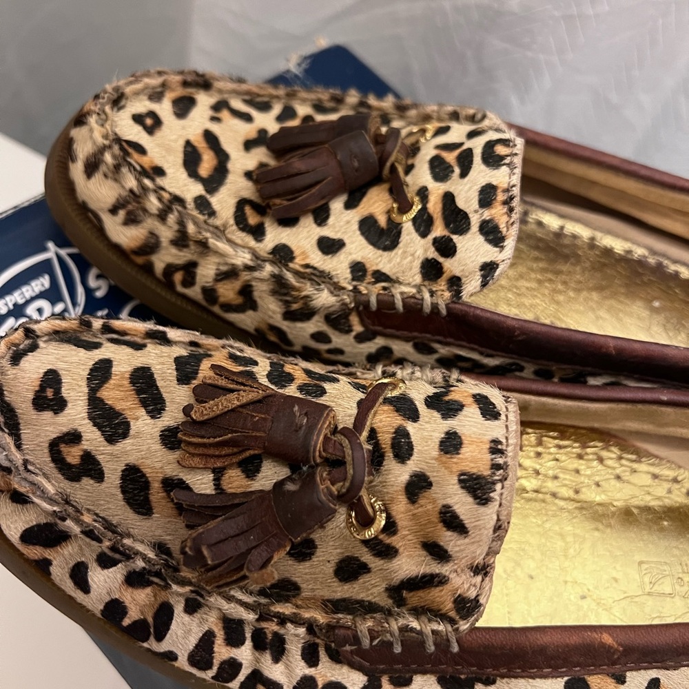 8.5 - Picture 2 of 4